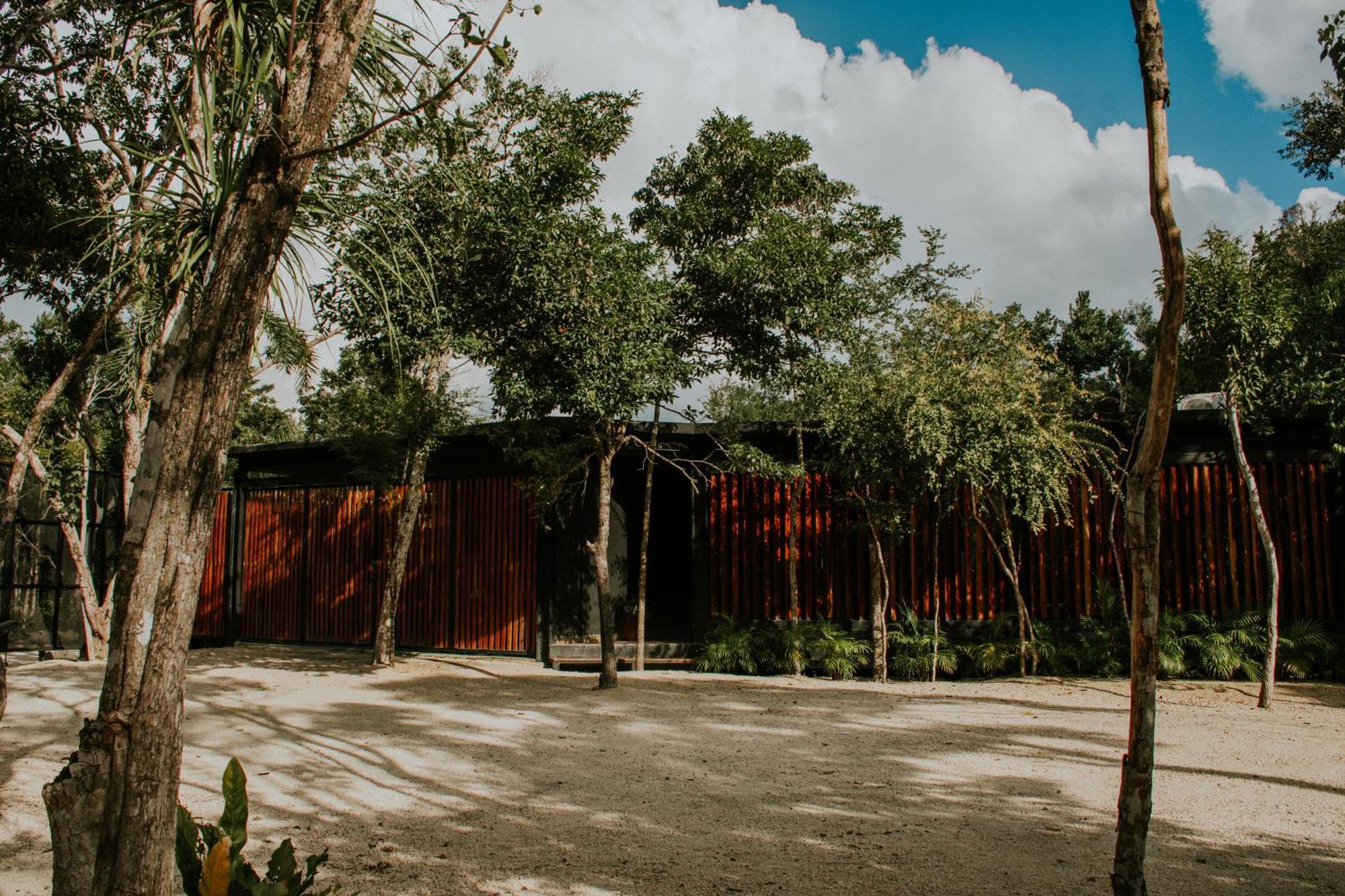 K Naj Community Cenote Residence Balcheil Eksteriør billede